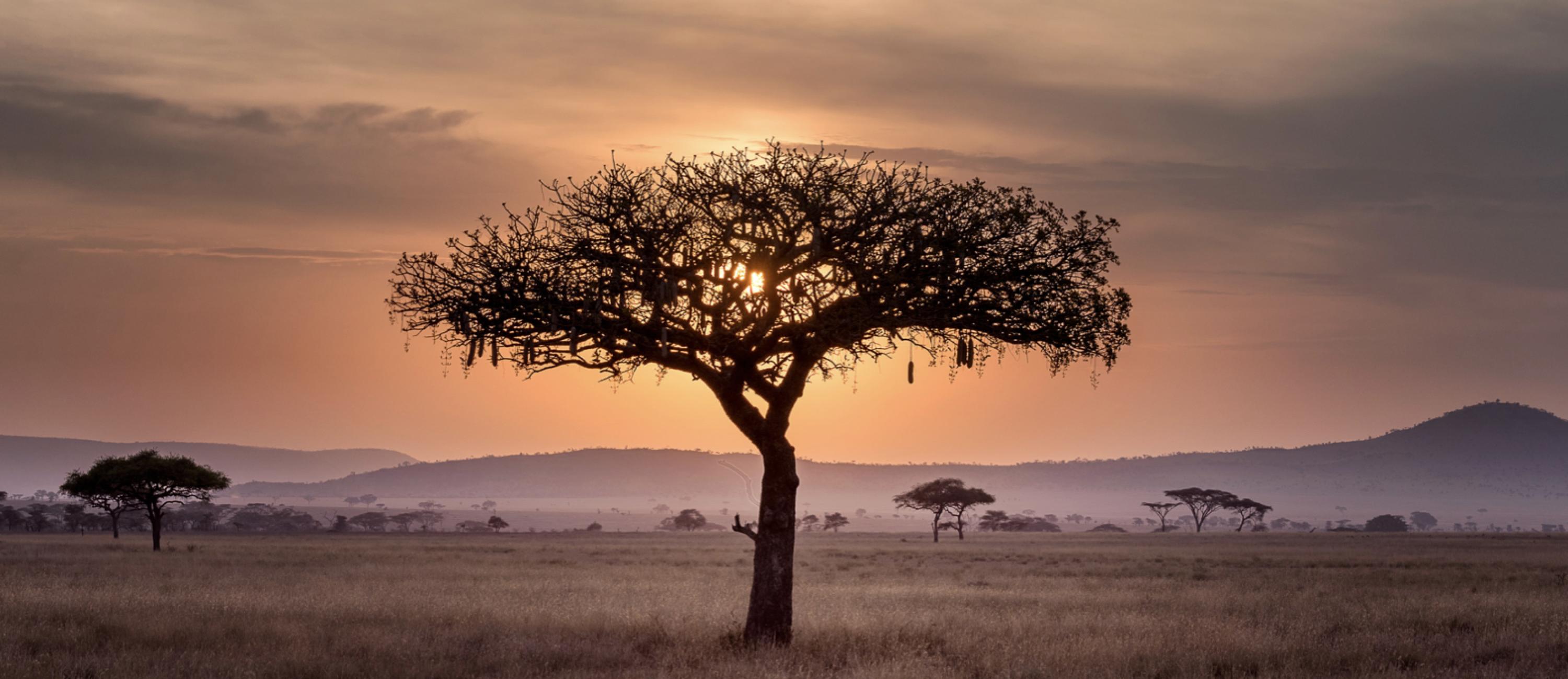 UTA - Fra Piergiorgio Romanelli: un sogno solidale per l'Africa