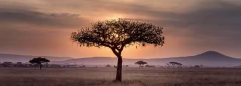 UTA - Fra Piergiorgio Romanelli: un sogno solidale per l'Africa